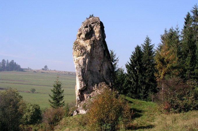 Obraz przedstawiający 