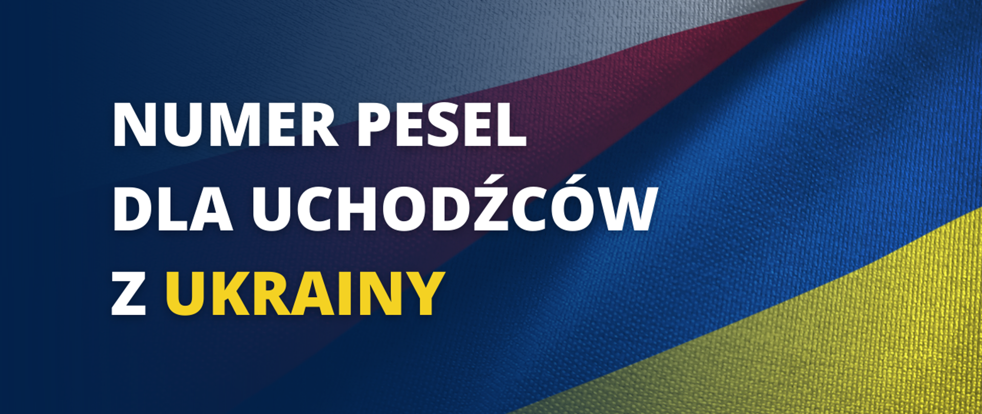 PESEL DLA UKRAINY - kolorowy baner