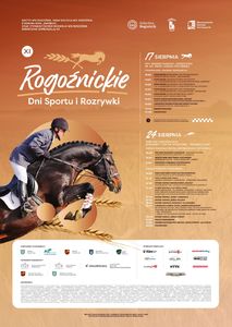XI ROGOŹNICKIE DNI SPORTU I ROZRYWKI