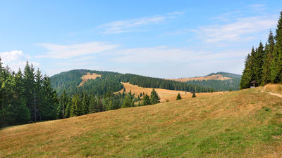 Łapuszna - Polana Zielenica