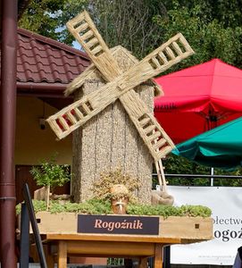 4. Wieniec dożynkowy