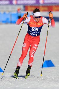 1. SEBASTIAN NA TRASIE.jpeg