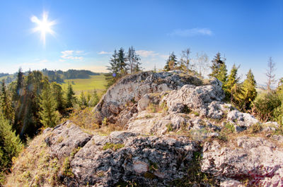 Szczyt skałki Rogoźnickiej