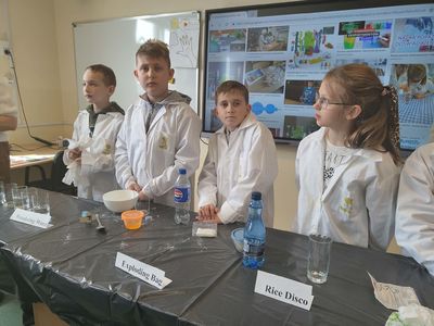 7. Pokaz eksperymenów..jpeg