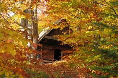 Drewniana chata podczas jesieni- Turbacz