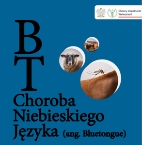 Choroba niebieskiego języka broszura