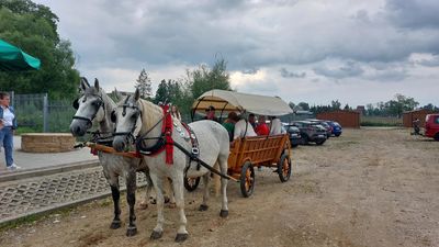 Przejażdżka dorożką