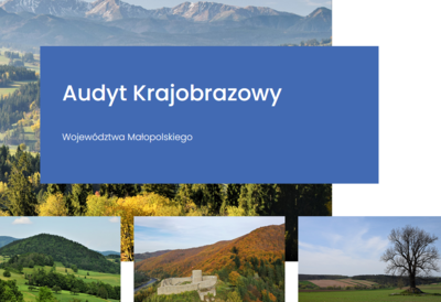 napis audyt kjaobrazowy