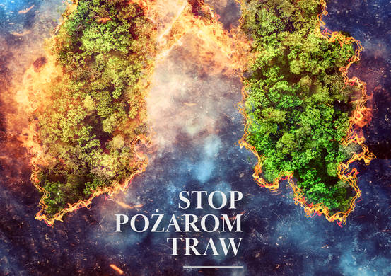 Zakaz wypalania traw