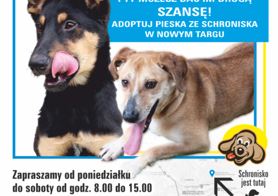 Adoptujesz - przyjaciela zyskujesz!