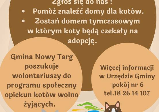 Koci wolontariat