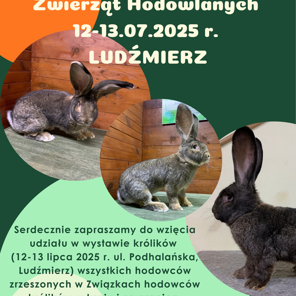 Obraz główny aktualności o tytule XII Podhalańska Wystawa Zwierząt Hodowlanych