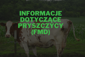 Informacje dotyczące pryszczycy (FMD)