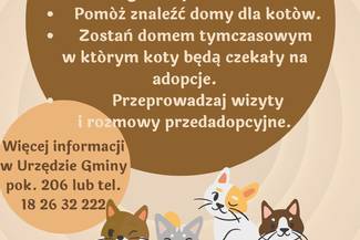 Wójt Gminy Nowy Targ ogłasza nabór na opiekunów społecznych kotów wolno żyjących na terenie Gminy Nowy Targ