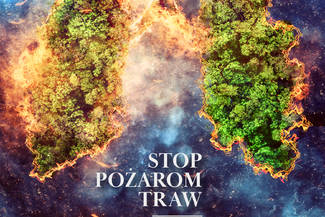 Zakaz wypalania traw