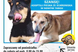 Adoptujesz - przyjaciela zyskujesz!