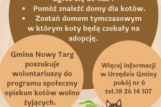 Koci wolontariat