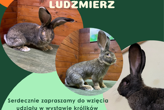 XII Podhalańska Wystawa Zwierząt Hodowlanych