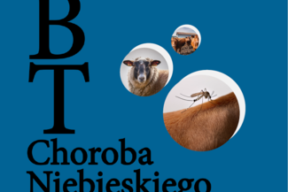 Informacja Powiatowego Lekarza Weterynarii w sprawie choroby niebieskiego języka