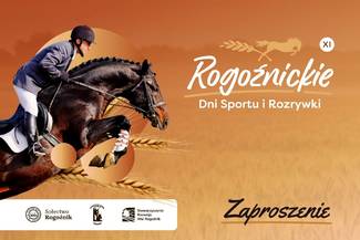 XI Rogoźnickie Dni Sportu i Rozrywki – 17 i 24 sierpnia 2025