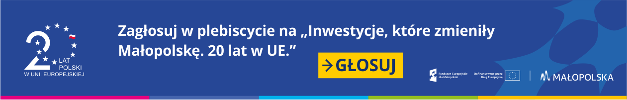 plebiscyt głosuj baner