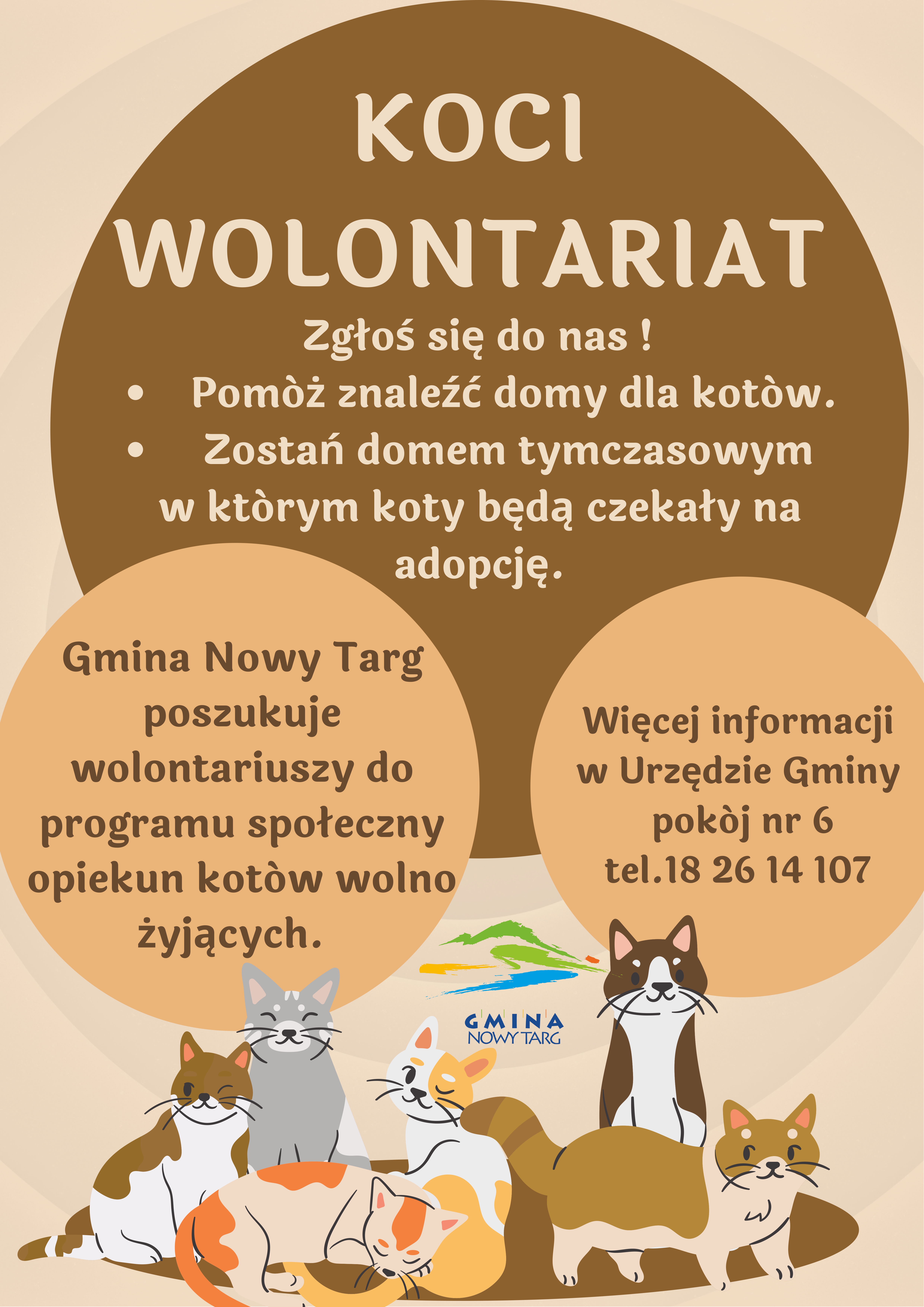 Plakat Koci wolontariat